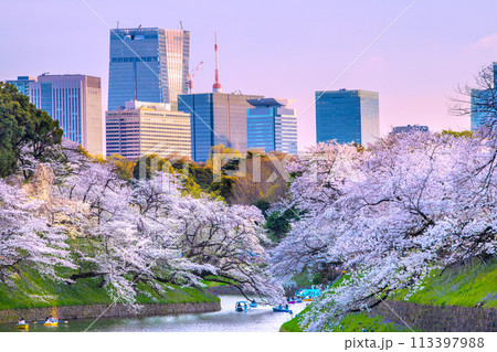 日本の東京都市景観 桜が満開の千鳥ヶ淵。奥は夕日を浴びる東京タワーや虎ノ門ヒルズ駅など…=7日 日本の東京都市景観 桜が満開の千鳥ヶ淵。奥は夕日を浴びる東京タワーや虎ノ門ヒルズ駅など…=7日 113397988