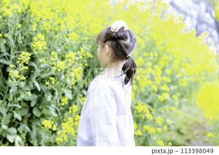 菜の花畑と女の子の後姿 菜の花畑と女の子の後姿 113398049