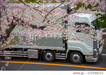 桜並木の横を走るトラック 113398215