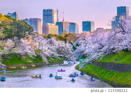 日本の東京都市景観 桜が満開の千鳥ヶ淵。奥は夕日を浴びる東京タワーや虎ノ門ヒルズ駅など…=7日 日本の東京都市景観 桜が満開の千鳥ヶ淵。奥は夕日を浴びる東京タワーや虎ノ門ヒルズ駅など…=7日 113398221