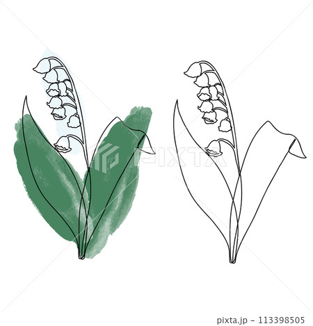 スズラン線画 113398505