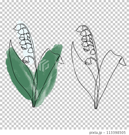 スズラン線画 113398505