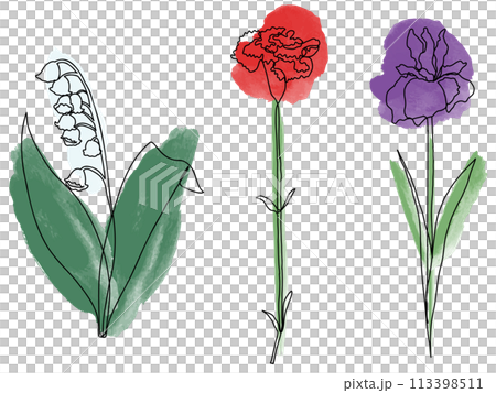 花の線画セット(カラー) 花の線画セット(カラー) 113398511