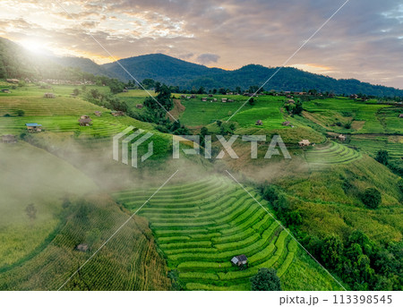 Landscape of rice terrace and hut with mountain range background and beautiful sunrise sky. Nature landscape. Green rice farm. Terraced rice fields. Travel destinations in Chiang Mai, Thailand. 113398545