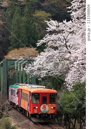 春の樽見鉄道 春の樽見鉄道 113398604
