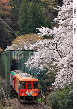 春の樽見鉄道 春の樽見鉄道 113398607