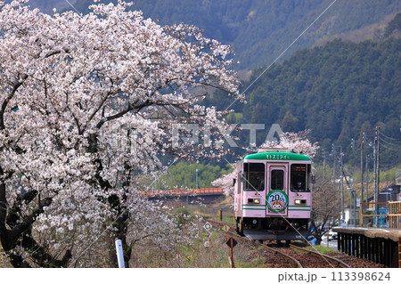 春の樽見鉄道 113398624
