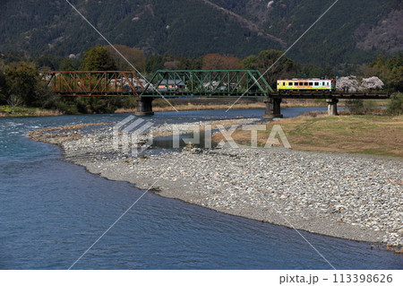 春の樽見鉄道 春の樽見鉄道 113398626