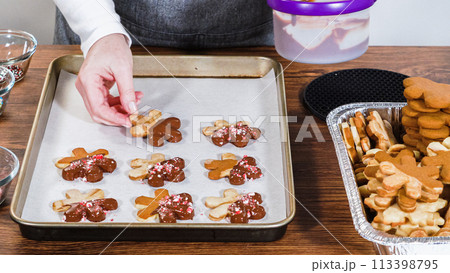 Crafting star-shaped holiday cookies dipped in chocolate and sprinkled with variety of toppings. 113398795