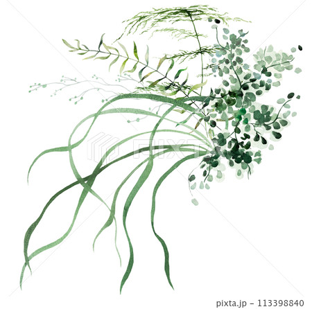 Bouquet with Watercolor fern twigs with green leaves isolated illustration, botanical wedding 113398840