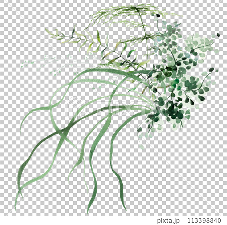 Bouquet with Watercolor fern twigs with green leaves isolated illustration, botanical wedding 113398840