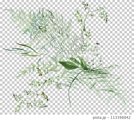 Bouquet with Watercolor fern twigs with green leaves isolated illustration, botanical wedding 113398842