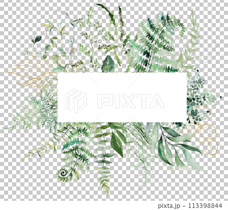 Geometric frame with Watercolor fern twigs with green leaves isolated illustration, botanical wedding 113398844