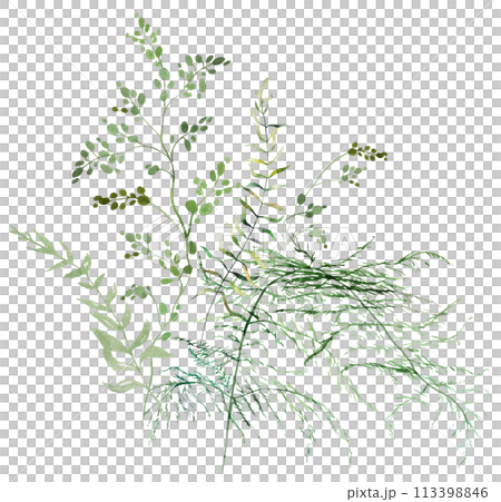 Bouquet with Watercolor fern twigs with green leaves isolated illustration, botanical wedding 113398846