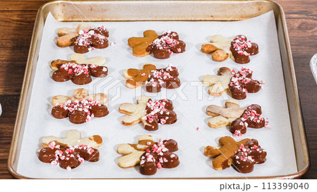 Crafting gingerbread cookie sandwiches with eggnog buttercream, presented on a rustic wooden table for Christmas gifting. Crafting gingerbread cookie sandwiches with eggnog buttercream, presented on a rustic wooden table for Christmas gifting. 113399040
