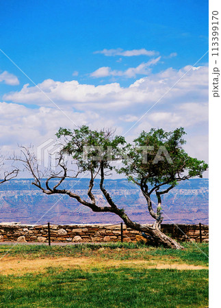 Cloudy Day At The Grand Canyon Arizona on Film 113399170