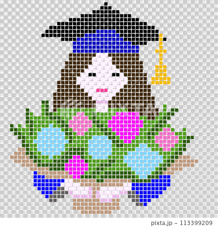 A girl in graduation gown, holding bouquet   113399209
