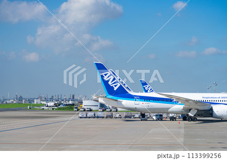 空港　飛行機　羽田空港　離陸　航空会社　エンジン　ブレーキ　午前　明るい　管制塔　ターミナル 113399256