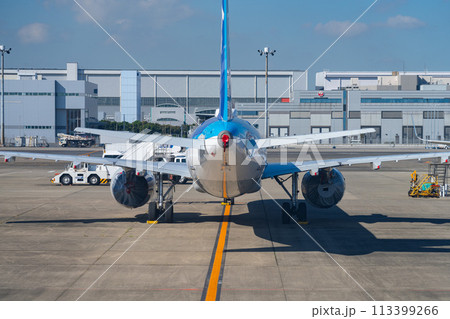空港　飛行機　羽田空港　離陸　航空会社　エンジン　ブレーキ　午前　明るい　管制塔　ターミナル 113399266