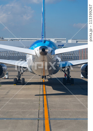 空港　飛行機　羽田空港　離陸　航空会社　エンジン　ブレーキ　午前　明るい　管制塔　ターミナル 113399267