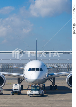 空港 飛行機 羽田空港 離陸 航空会社 エンジン ブレーキ 午前 明るい 管制塔 ターミナル 空港 飛行機 羽田空港 離陸 航空会社 エンジン ブレーキ 午前 明るい 管制塔 ターミナル 113399268