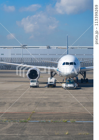 空港　飛行機　羽田空港　離陸　航空会社　エンジン　ブレーキ　午前　明るい　管制塔　ターミナル 113399269
