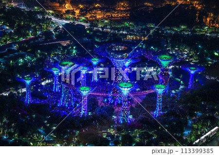 マリーナ・ベイ・サンズ展望台からの夜景(シンガポール) マリーナ・ベイ・サンズ展望台からの夜景(シンガポール) 113399385