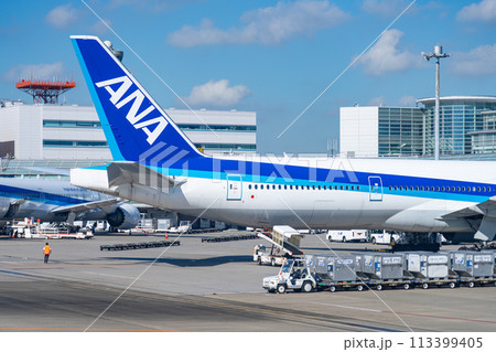 空港 飛行機 羽田空港 離陸 航空会社 エンジン ブレーキ 午前 明るい 管制塔 ターミナル 整備 空港 飛行機 羽田空港 離陸 航空会社 エンジン ブレーキ 午前 明るい 管制塔 ターミナル 整備 113399405
