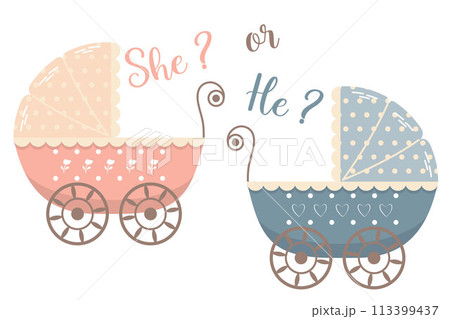 Vector Gender reveal party Girl or Boy He or She Baby Pram Flat Style Vector Gender reveal party Girl or Boy He or She Baby Pram Flat Style 113399437