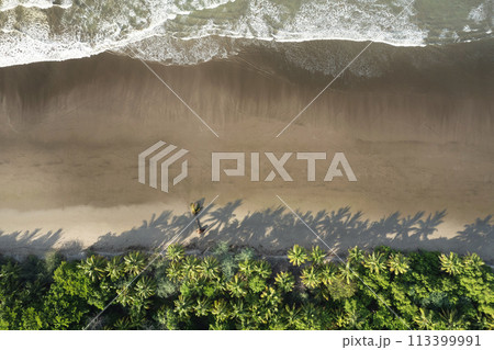 Clean beach wet sand Clean beach wet sand 113399991