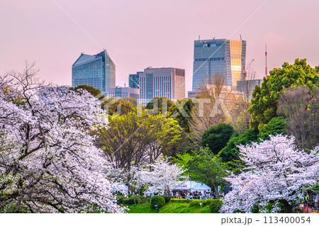 日本の東京都市景観 桜が満開の千鳥ヶ淵。奥は夕日を浴びる東京タワーや虎ノ門ヒルズ駅など…=7日 日本の東京都市景観 桜が満開の千鳥ヶ淵。奥は夕日を浴びる東京タワーや虎ノ門ヒルズ駅など…=7日 113400054