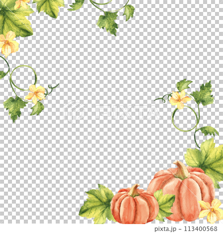 Autumn square frame, border. Watercolor pumpkin corner composition with flowers and leaves. Botanical vegetable hand drawn watercolor illustration isolated on white background. Can be used for cards 113400568