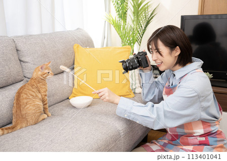 猫じゃらしを持って仔猫の撮影をする女性 113401041