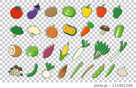 シンプルな野菜のイラストセット 113401288