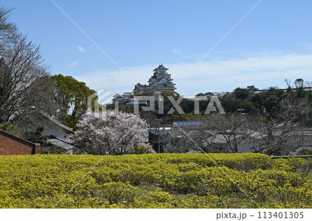 【兵庫県・姫路市】 姫路文学館から見る姫路城の風景 113401305