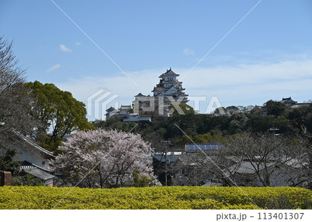 【兵庫県・姫路市】 姫路文学館から見る姫路城の風景 【兵庫県・姫路市】 姫路文学館から見る姫路城の風景 113401307