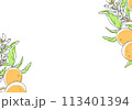 枝付きオレンジのシンプルなデザイン 113401394