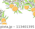 枝付きオレンジのシンプルなデザイン 113401395