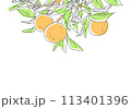 枝付きオレンジのシンプルなデザイン 113401396