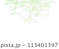 枝付きオレンジのシンプルな線画 113401397
