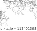 枝付きオレンジのシンプルな線画 113401398