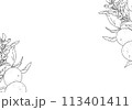 枝付きオレンジのシンプルな線画 113401411