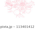 枝付きオレンジのシンプルな線画 113401412
