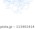 枝付きオレンジのシンプルな線画 113401414