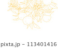 枝付きオレンジのシンプルな線画 113401416