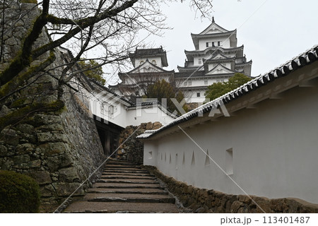 【兵庫県姫路市】 姫路城　将軍坂 113401487