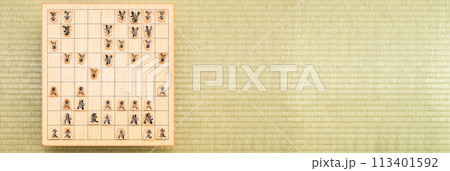 将棋 は 日本 の 伝統的 な ボードゲーム 【 将棋 を 指す イメージ 】 将棋 は 日本 の 伝統的 な ボードゲーム 【 将棋 を 指す イメージ 】 113401592