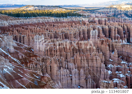 朝日に染まるブライスキャニオン 113401807