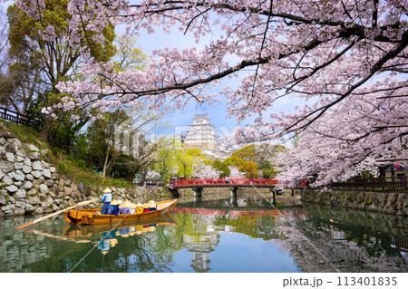 満開の桜と姫路城 113401835
