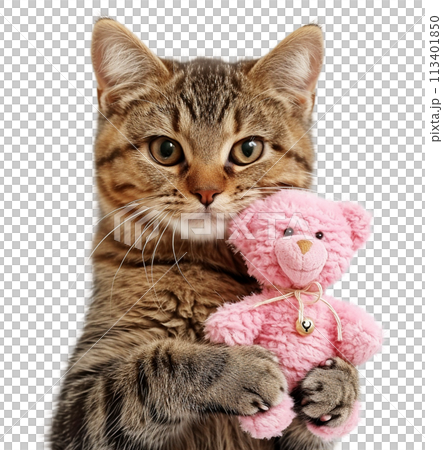 Cute cat hugs a teddy bear. 113401850